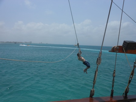 Aruba Rope Swing