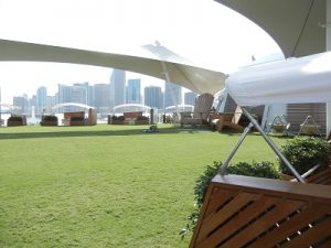 The Lawn Club The Lawn Club