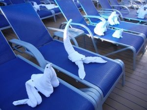 Towel animals 