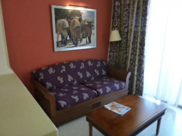 Sitting area Pull out couch in sitting area