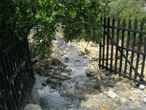 St Lucia Volcanic Mud stream