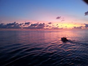 sunrise sunrise