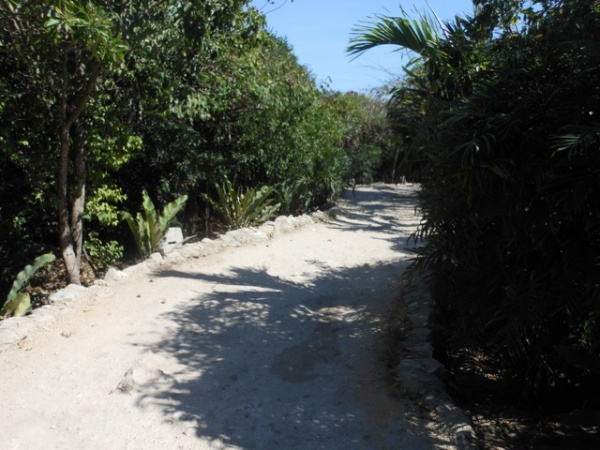 Dirt and path towards the ruins