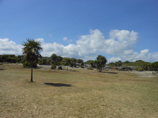 Grassy area with ruins Grassy area with ruins