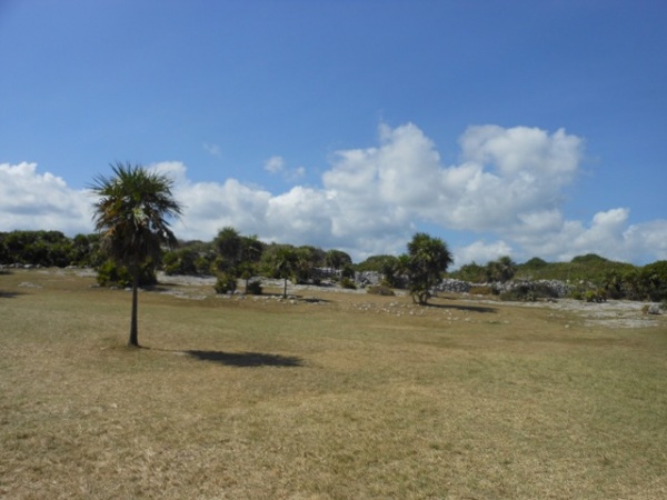 Grassy area with ruins