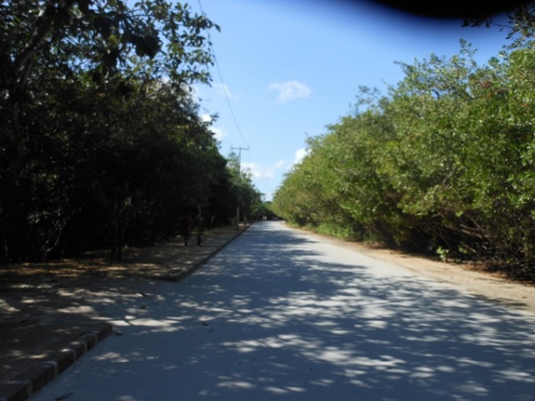 Shady road back to tourism village