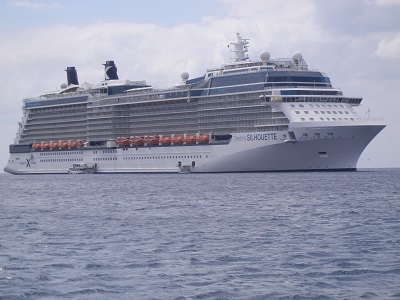 Celebrity Silhouette Celebrity Silhouette
