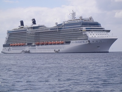 Celebrity Silhouette