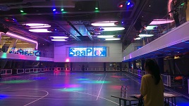 Seaplex Seaplex