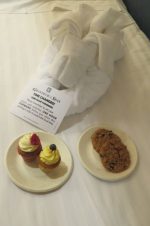 Room 2094 What would a cruise be without towel animals?