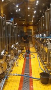 Red Frog Brewery on the Carnival Vista