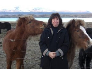 Equus ferus caballus The Horses of Iceland