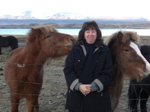 The Horses of Iceland