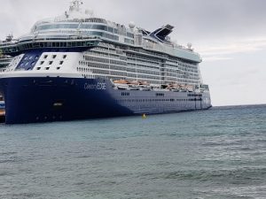 Celebrity Edge from dock